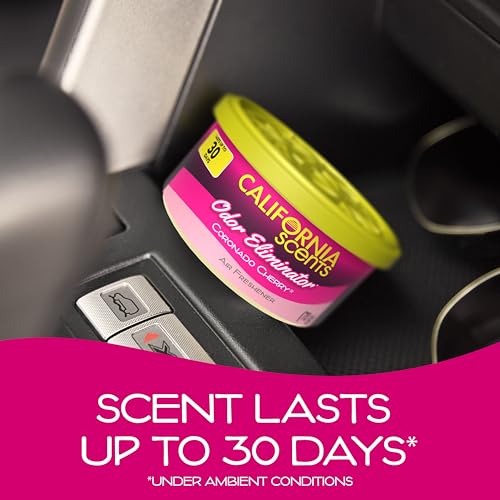 Car Air Freshener (90 Ounce)