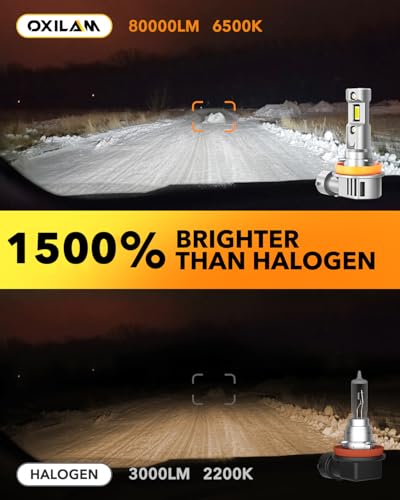 H11 LED Light Bulb (2 Count)