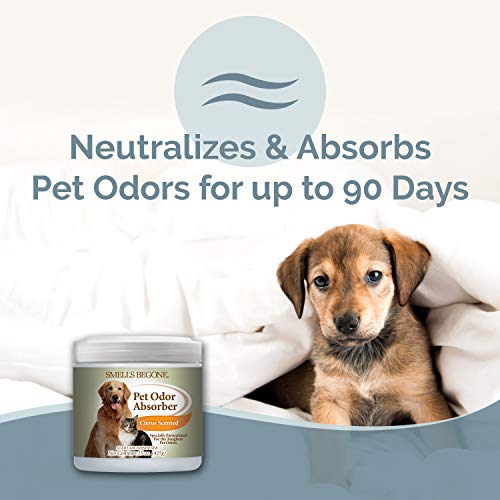 15oz Gel Pet Odor Eliminator (30 Ounce)
