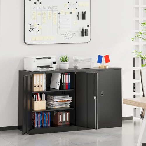 Small Metal Storage Cabinet with Doors and Shelves