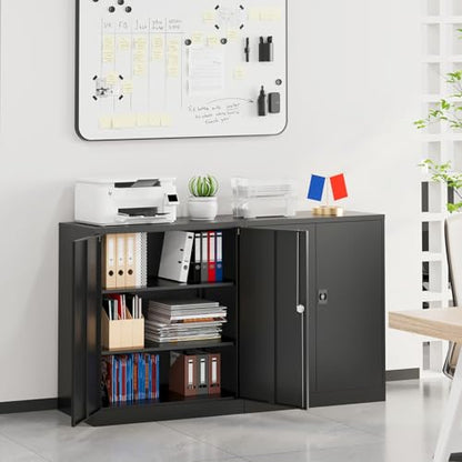 Small Metal Storage Cabinet with Doors and Shelves