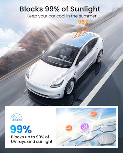 Tesla Model Y (2 Count)