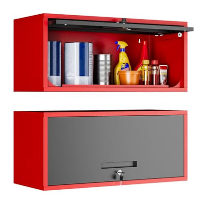 Metal Wall Cabinet with Doors