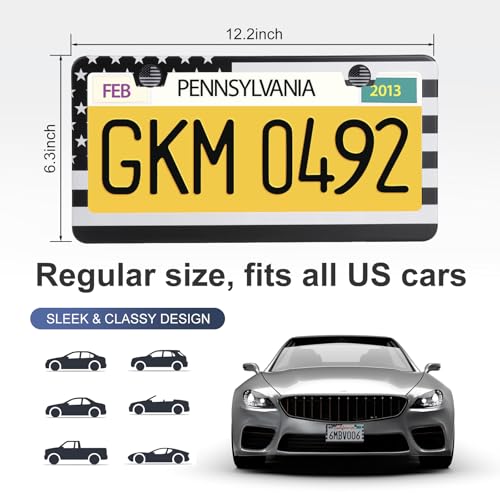 2 Pack License Plate Frames (2 Count)