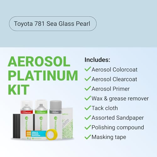 Car Paint Touch Up Spray Kit