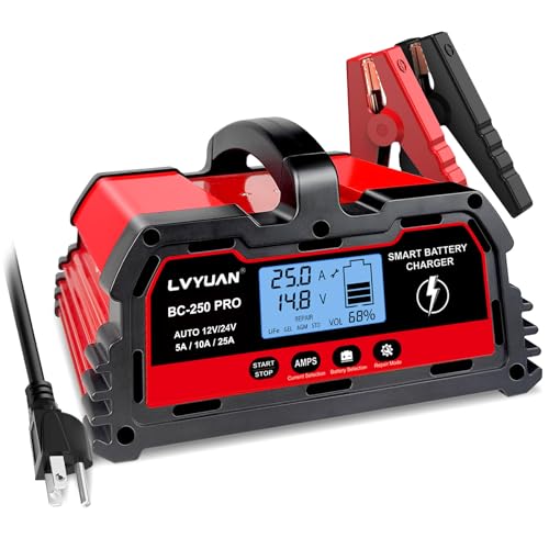 25Amp Smart Car Battery Charger