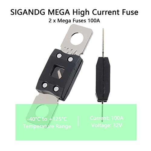 100A MEGA High Current Fuse (2 Count)