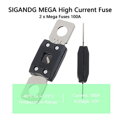 100A MEGA High Current Fuse (2 Count)