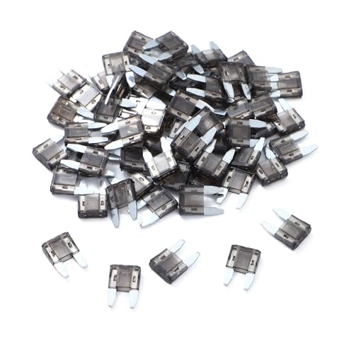 100 Pack Auto Fuses 2 AMP APM (100 Count)