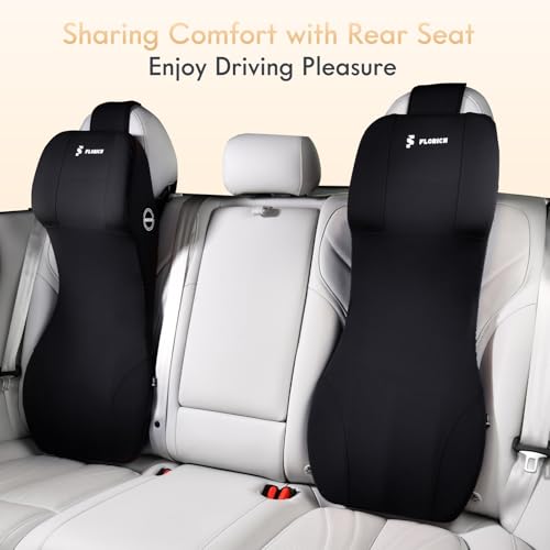 Lumbar Support with Car Headrest Pillow 2