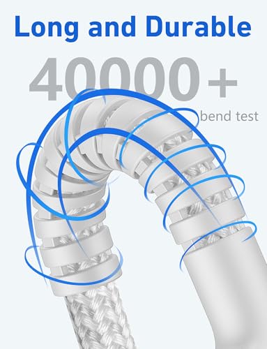 USB C to USB C Cable 10FT