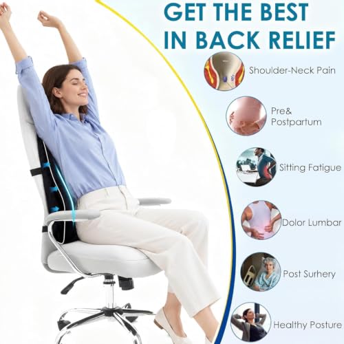 Lumbar Support Pillow for Office Chair Car Back Support Pillow