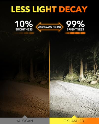 M5S H7 Light Bulbs (2 Count)