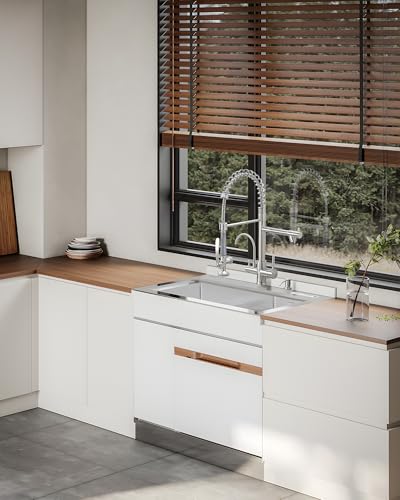 3 in 1 Faucet for Kitchen Sink