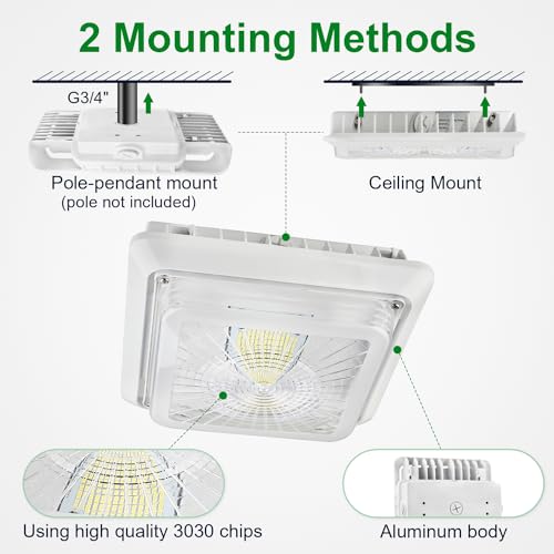 LED Canopy Garage Light 30W