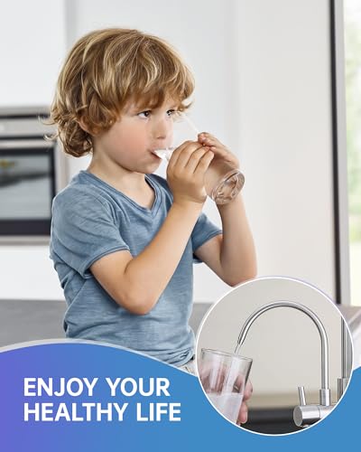 3 in 1 Faucet for Kitchen Sink