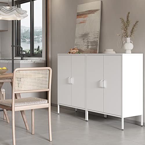 Metal Storage Cabinet with Doors and Shelves