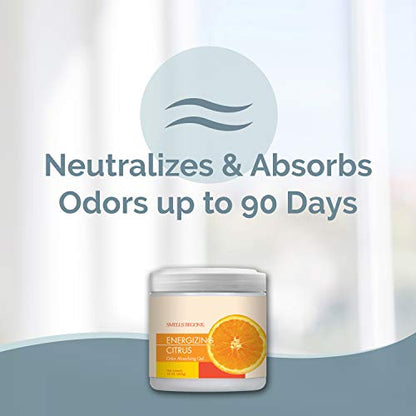 Air Freshener Odor Absorber Gel (30 Ounce)