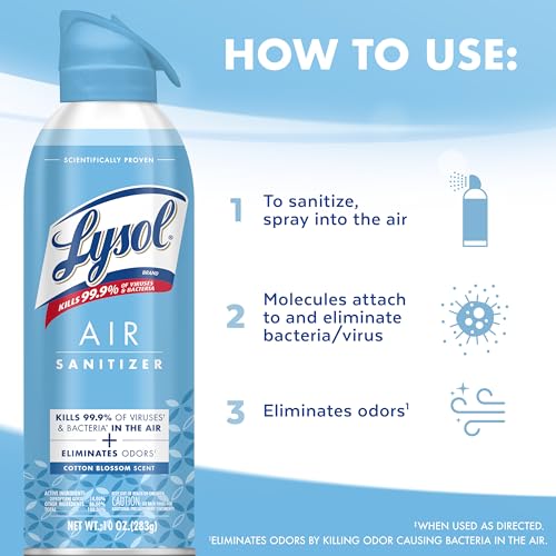 Air Sanitizer Spray (30 Ounce)