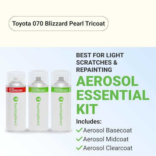 Car Paint Touch Up Spray Kit (36 Ounce)