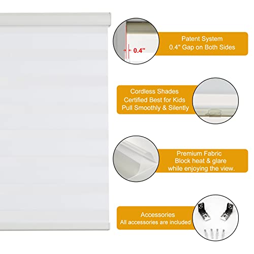 Cordless Zebra Blinds for Windows Free
