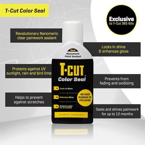 Paintwork Perfection Kit