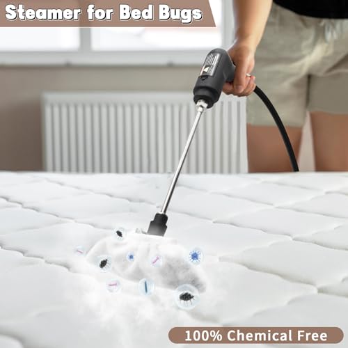 Handheld Steam Cleaner for Home