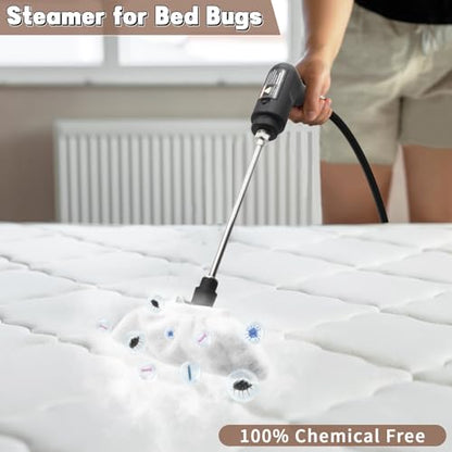 Handheld Steam Cleaner for Home