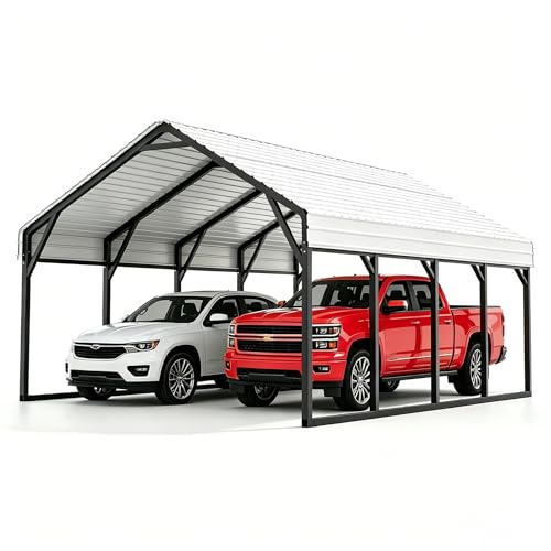 Heavy Duty 20x20 FT Metal Carport for 2 Cars
