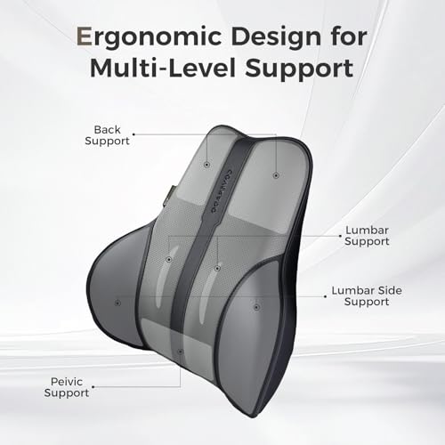 Lumbar Support Pillow for Car