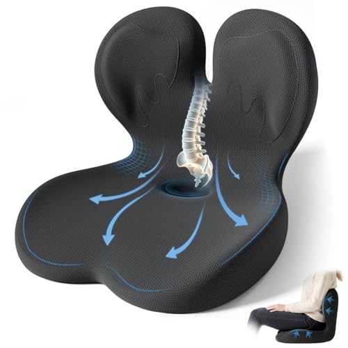 Seat Cushion with Lumbar Support Pillow