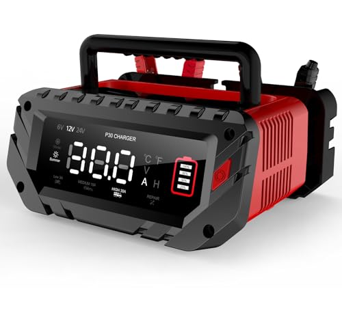 30 Amp Lithium Battery Charger