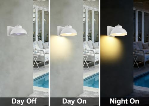 LED Outdoor Wall Lights (2 Count)