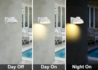 LED Outdoor Wall Lights (2 Count)