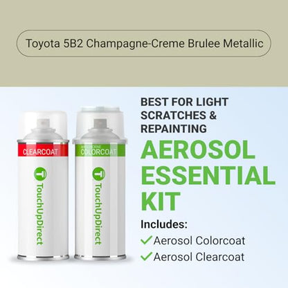 Car Paint Touch Up Spray Kit