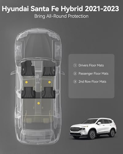 Floor Mats Fit 2021