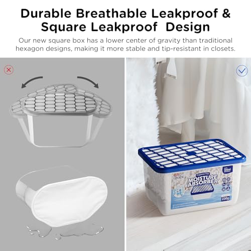 Moisture Absorbers (6 Count)