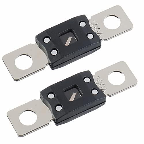 100A MEGA High Current Fuse (2 Count)