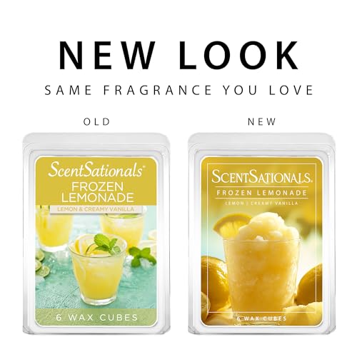 Frozen Lemonade (10 Ounce)
