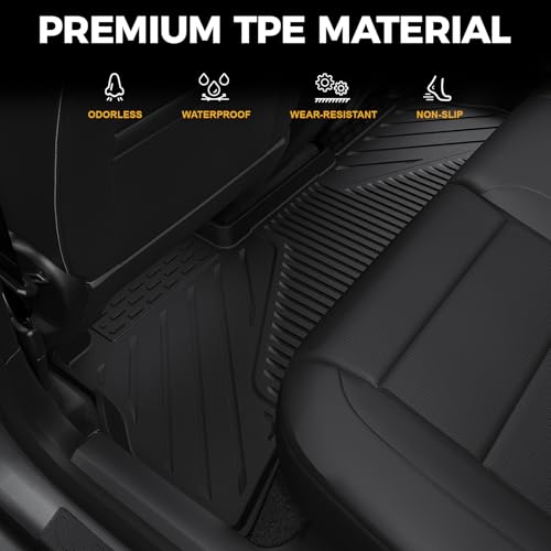 Floor Mats for 2024