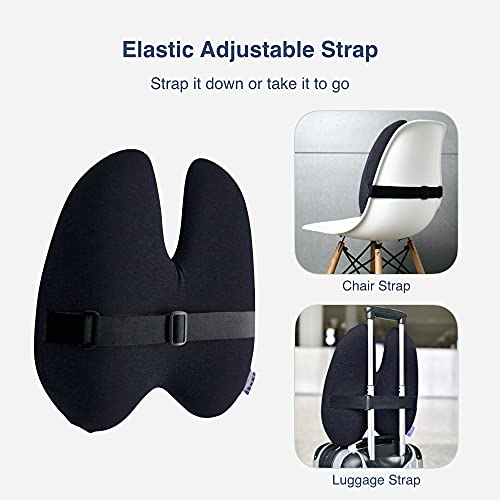 Extra Dense Lumbar Pillow