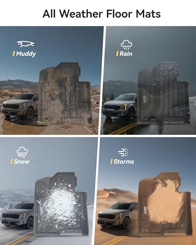 Floor Mats for 2021