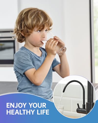3 in 1 Kitchen Sink Faucet with Drinking Water Faucet Matte Black