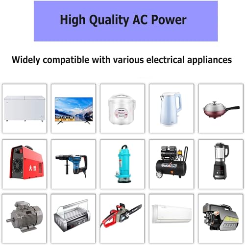 1000W Pure Sine Wave Inverter