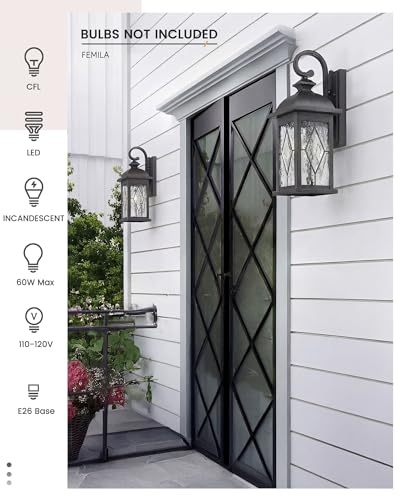 Dusk to Dawn Outdoor Front Porch Light
