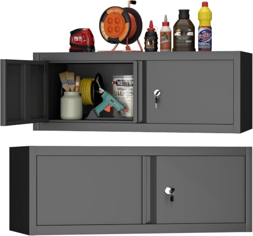 Metal Wall Cabinet with Lock and Doors