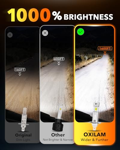 H1 Bulbs 2026 1 (2 Count)
