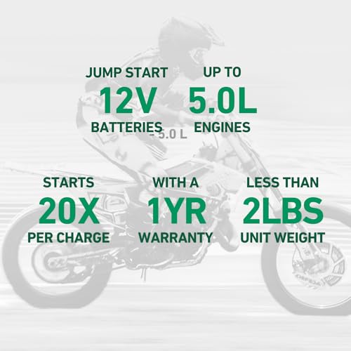 Charge N Start 1100