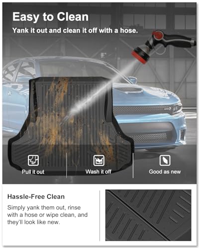 Cargo Mat for 2011