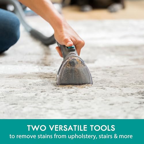 KW4070 RevitaLite Pet Portable Carpet Cleaner Machine